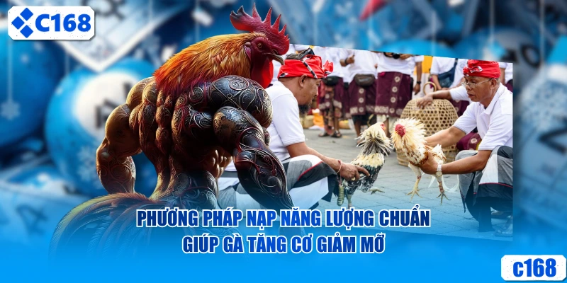 Phương pháp nạp năng lượng chuẩn giúp gà tăng cơ giảm mỡ